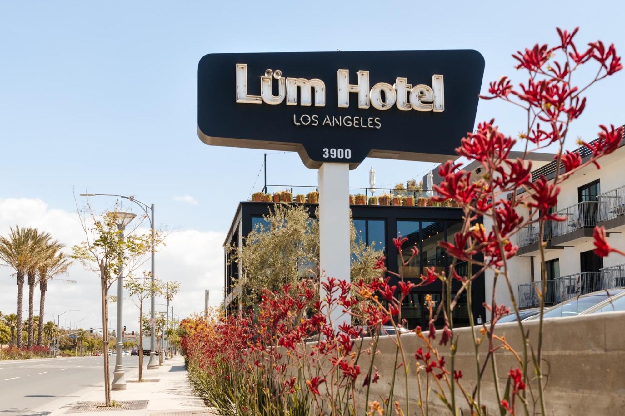 אינגלווד The Lum Hotel Los Angeles Stadium District מראה חיצוני תמונה